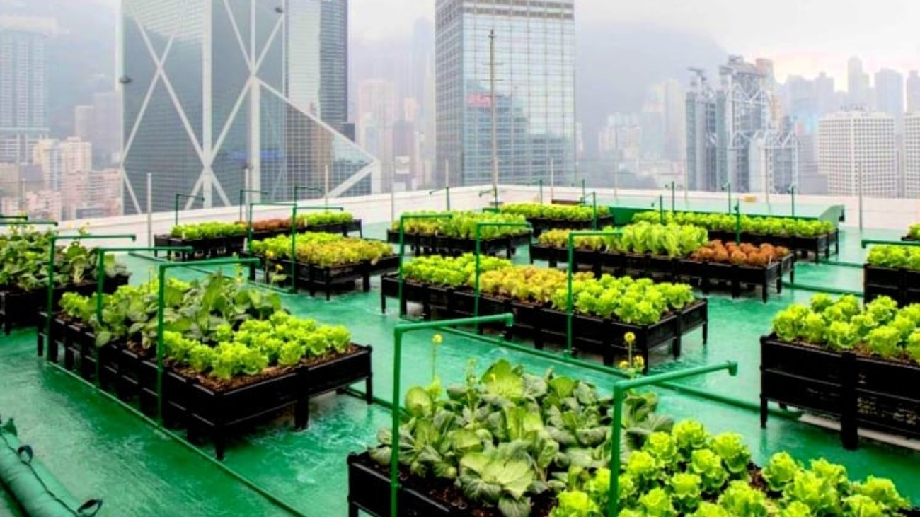 AgriTech and Urban Farming