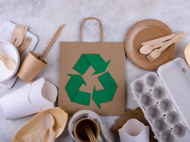 Eco-Friendly Packaging Innovations